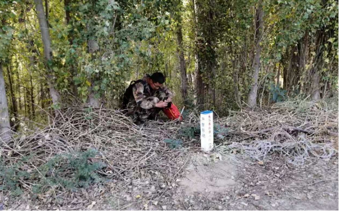 TIM图片20191008135519.jpg TIM图片20191008135519.jpg